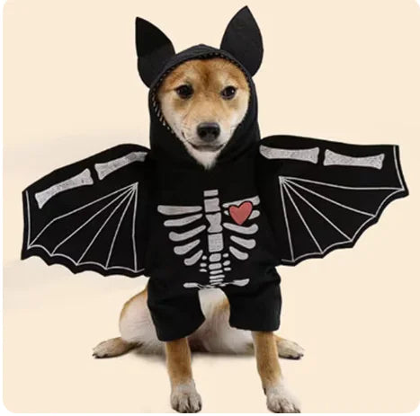 Halloween Bat Costume for Dogs - Blingy Bag LLC