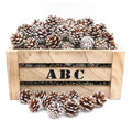 Artificial Pine Cones Decor Set - Blingy Bag LLC