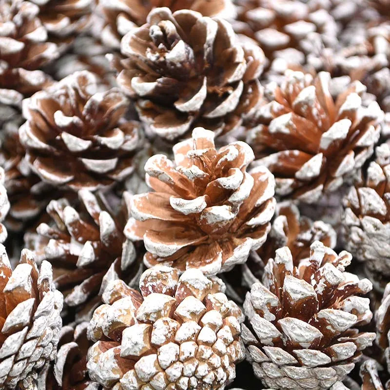 Artificial Pine Cones Decor Set - Blingy Bag LLC