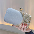 Luxury Glitter Fashion Clutch - Blingy Bag LLC